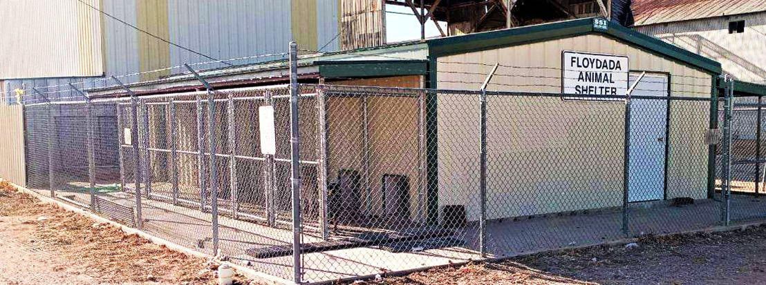 Floydada Animal Shelter works to keep dogs, cats, humans safe