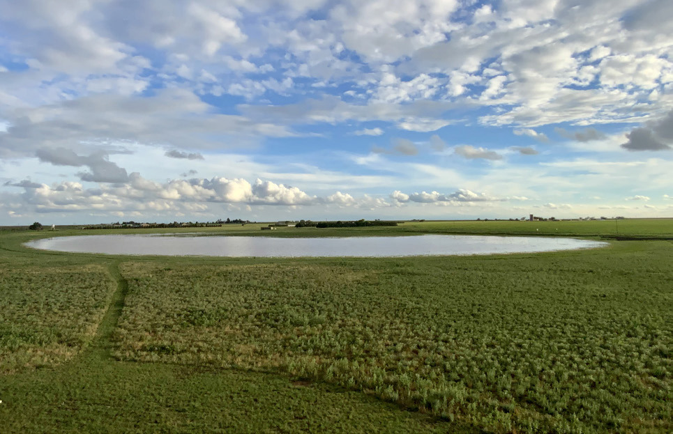 PLAYA FIELD DAY has been a popular learning experience for farmers and naturalists throughout the South Plains. The 2024 event is coming up May 16 in Floyd County. | COURTESY PHOTO