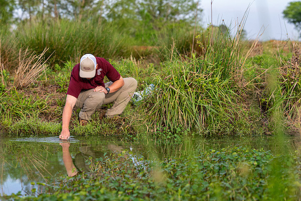The Texas A&M AgriLife Extension Service will present a webinar,“The Tiniest Pond Managers: Natural Bacteria and Bacterial-Derived Products,” on June 16 from 6 to 7:30 p.m. | HANNAH HARRISON, TEXAS A&amp;M AGRILIFE PHOTO