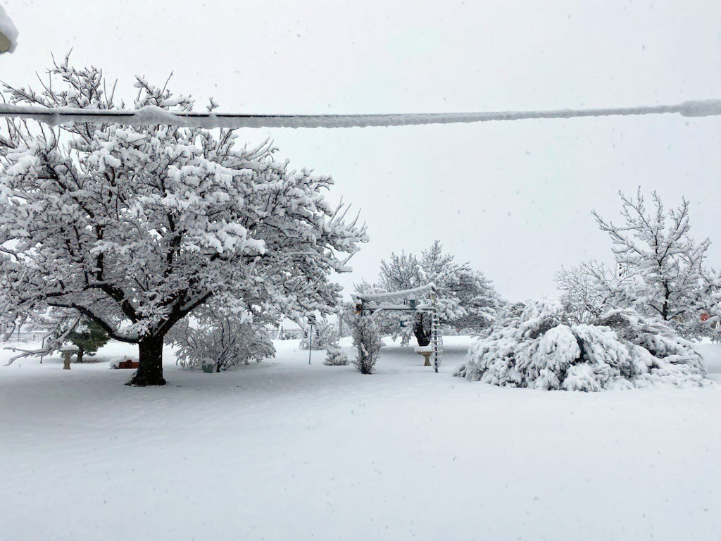 DEEP SNOW blankets Roaring Springs on Tuesday, Jan. 24, in this photo courtesy of Jeff Thacker, posted by the National Weather Service. | COURTESY PHOTO