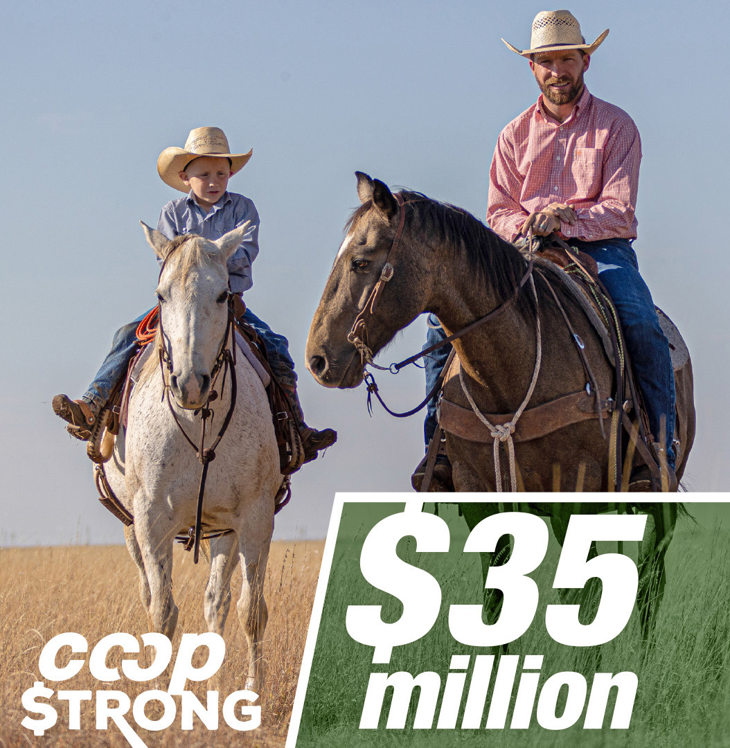 ABOUT THE COOPERATIVE AgTexas operates in 43 counties across the South Plains, the Texas Panhandle, and Central Texas, with 11 offices in the Lubbock, Amarillo, and Fort Worth areas. | COURTESY IMAGE