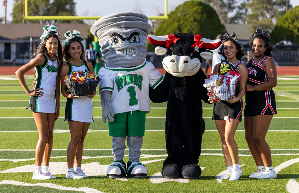 MEETING OF THE MASCOTS