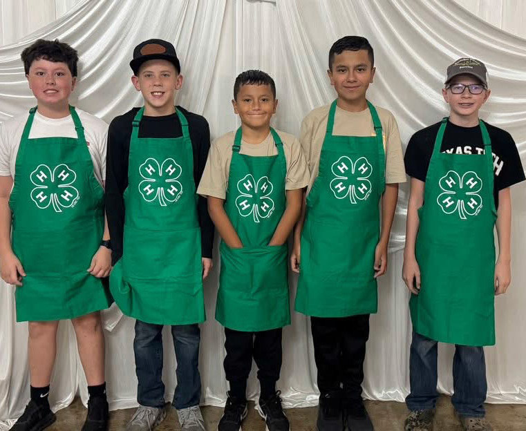 SPOTLIGHT ON 4-H GRILLING GAMES