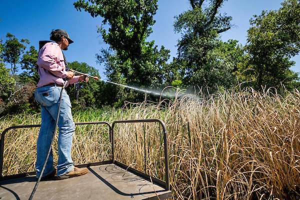 AQUATIC HERBICIDES The Texas A&amp;M AgriLife Extension Service will present a webinar, “Aquatic Vegetation Herbicides and Application,” May 19 from 6 to 7:30 p.m. | SAM CRAFT/TEXAS A&amp;M AGRILIFE PHOTO