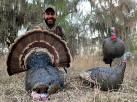 GO EARLY AND GO OFTEN Hunters should expect to see an abundance of gobblers for this 2026 spring turkey season. | TPWD PHOTO