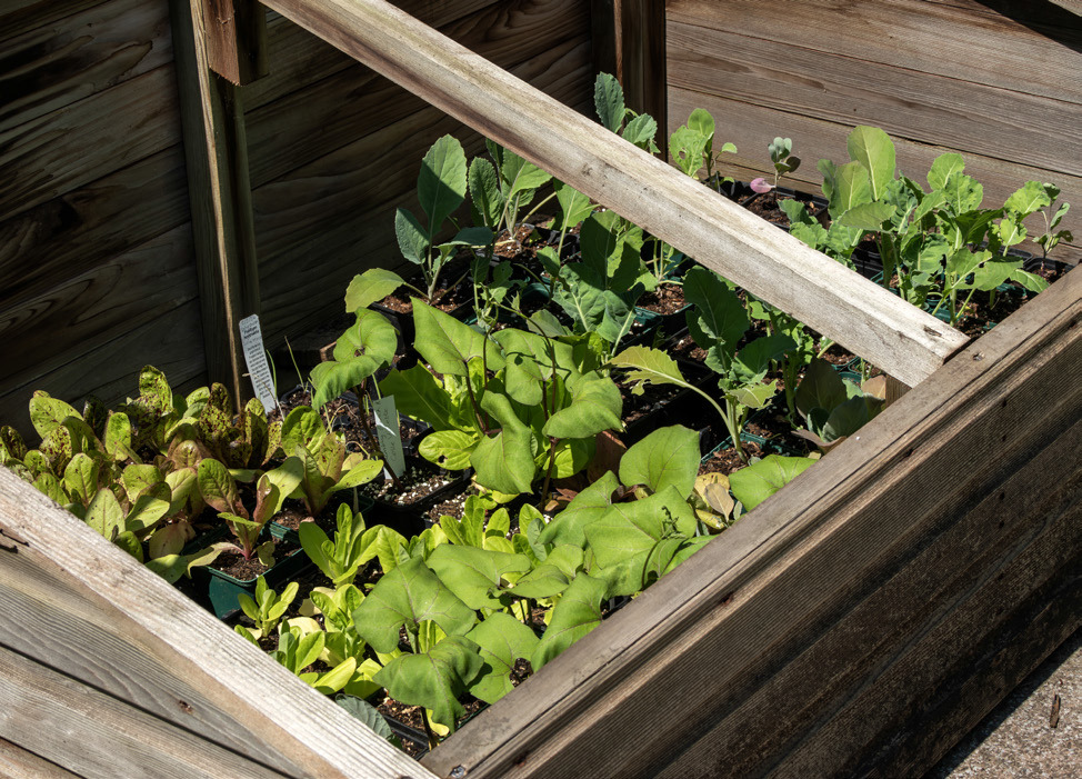 OLD FRAMES are used in the spring to get an early start for sowing seedlings and hardening off transplants and in the autumn for protecting crops from winter frosts. | iSTOCK PHOTO
