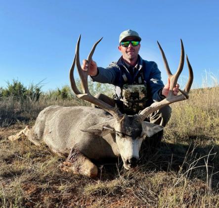 JAY TAYLOR, MULE DEER