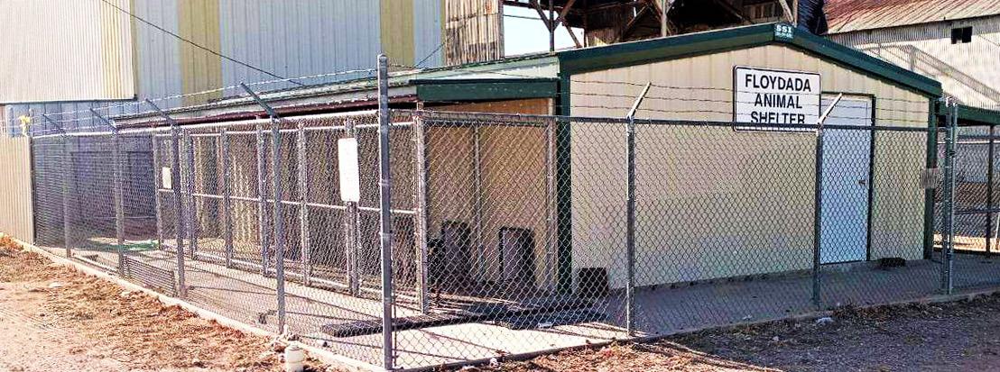 Floydada Animal Shelter works to keep dogs, cats, humans safe