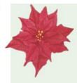 CHRISTMAS EVE/CHRISTMAS DAY WORSHIP SERVICES