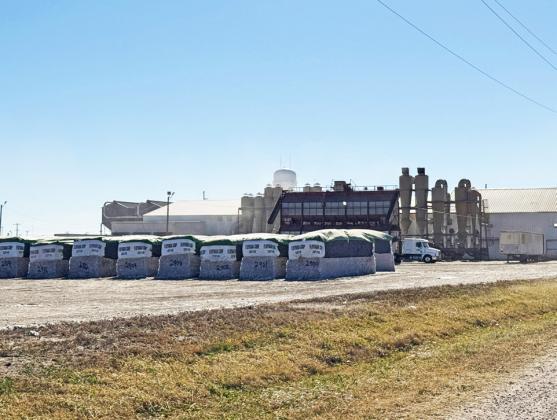 Texas cotton crop harvesting well underway
