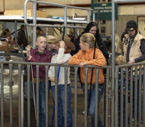 4-H MEMBERS wait their turn during the Floyd County Livestock Show. WINNERS CIRCLE COVERAGE, PAGES 8–10 | CERVANTES PHOTOGRAPHY