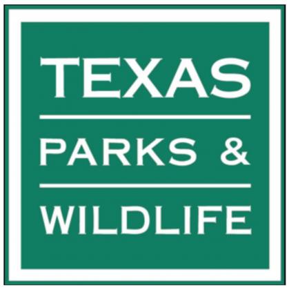 Alt Text for Image