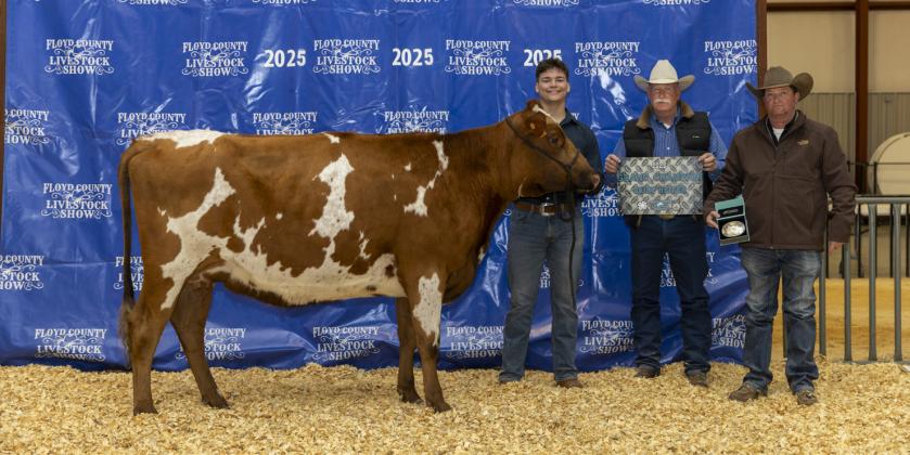 GRAND CHAMPION DAIRY HEIFER PEYTON NOLAND