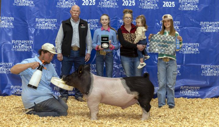 GRAND CHAMPION BARROW BRIGHTON REESE