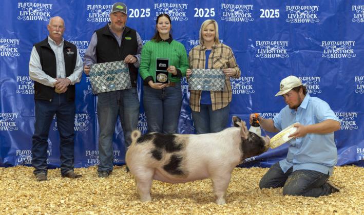 GRAND CHAMPION GILT KAILEIGH COOK
