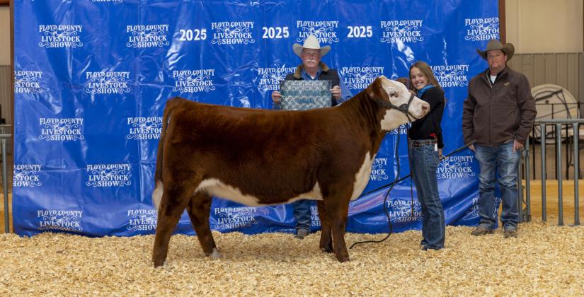 RESERVE GRAND CHAMPION HEIFER PARKER KELLISON