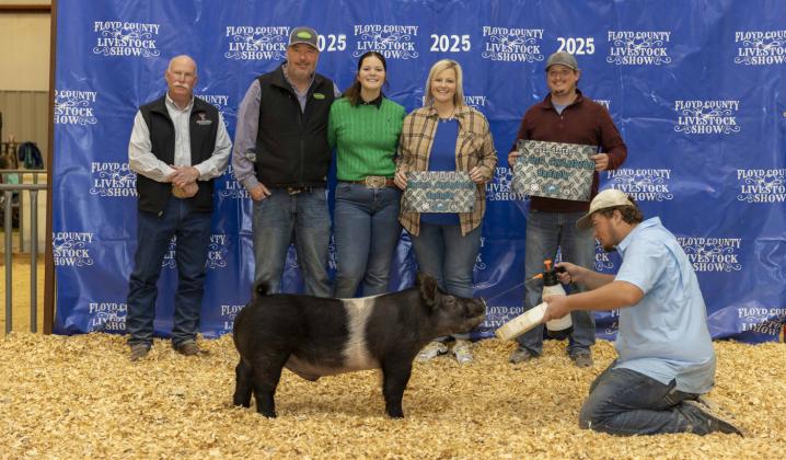 RESERVE GRAND CHAMPION BARROW KAILEIGH COOK