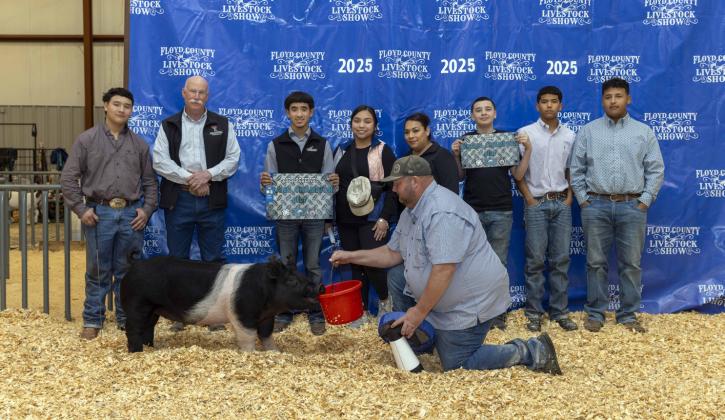 RESERVE GRAND CHAMPION GILT DAVID SANCHEZ