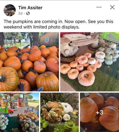 IT’S PUNKIN TIME in Floyd County, a season that’s celebrated annually at locations such as the Assiter Punkin Ranch on Highway 207 south of Floydada, as well as via the annual Floydada tradition of Punkin Days coming up in October. | FACEBOOK