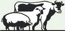 Weather delays Junior Livestock Show coverage this week