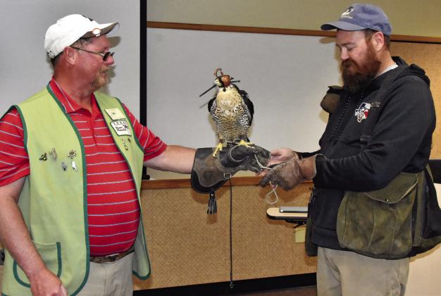 OUTDOOR LEARNING Panhandle Texas Master Naturalist Chapter president Dan Porter, left, gets an up-close lesson on a peregrine falcon from falconer Kyle Irlbeck of Canyon during one of the Panhandle Chapter's functions. Such learning opportunities come often with Panhandle TMN functions, and the public can get an idea of the program during an open house set for the Southwest Library in Amarillo on August 5. | JIM STIERT PHOTO