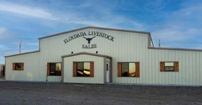 NEW SCALES for weighing cattle were a recent business improvement to benefit from Floydada Economic Development Corporation funding. | COURTESY PHOTO
