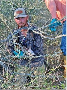 MEET THE TPWD STAFF Kaden Kerbow is the District Biologist for the Texas Parks and Wildlife Department for Garza, Kent, Crosby, Dickens, Floyd, Motley and Hall counties. He graduated with a bachelor’s degree from Texas Tech University. “During my college years,” he said, “I traveled across the state of Texas, gaining handson wildlife experience with species ranging from white-tailed deer to black bears. I enjoy working with landowners to help them maximize the potential of their property, but my true passio