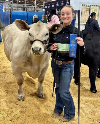 BLUE RIBBON