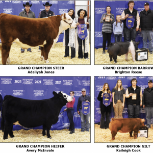 2021 Floyd County Stock Show held