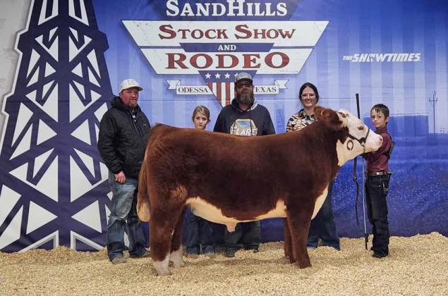 STOCK SHOW Congratulations go to Blaine Yeary of Floydada for finishing in fourth place in the lightweight Polled Herefords at the Sandhills Stock Show &amp; Rodeo last Saturday at Ector Coliseum in Odessa. Blaine, the son of Brad and Molly Yeary, shows through the Floydada FFA. | COURTESY PHOTO