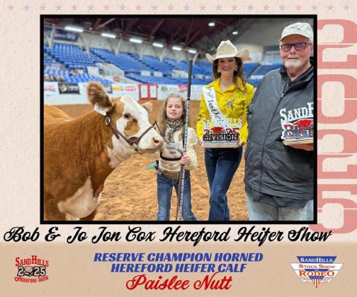 CONGRATULATIONS go to Paislee Nutt of Floydada for being awarded the Reserve Division Champion with her horned Hereford at the 2025 Sandhills Stock Show &amp; Rodeo last Saturday at the Ector Coliseum in Odessa. She showed through the Floyd County 4-H. Paislee is the daughter of Jason and Whitley Nutt. | COURTESY PHOTO