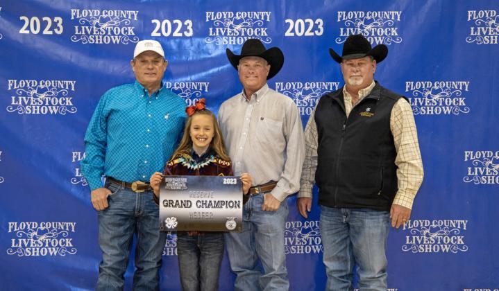 Stock Show 2023