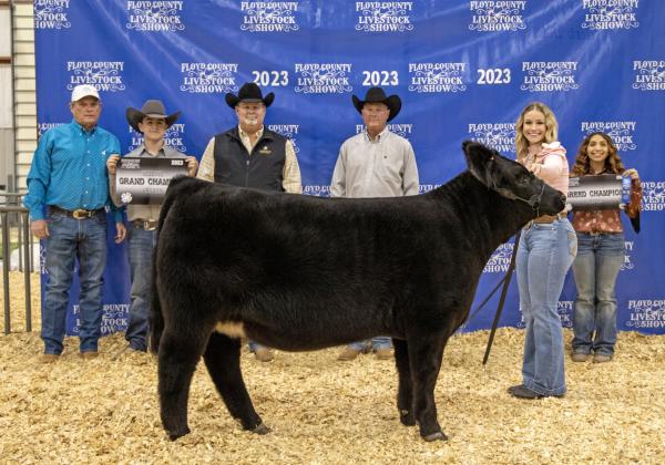 Stock Show 2023
