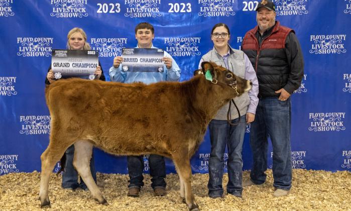 Stock Show 2023