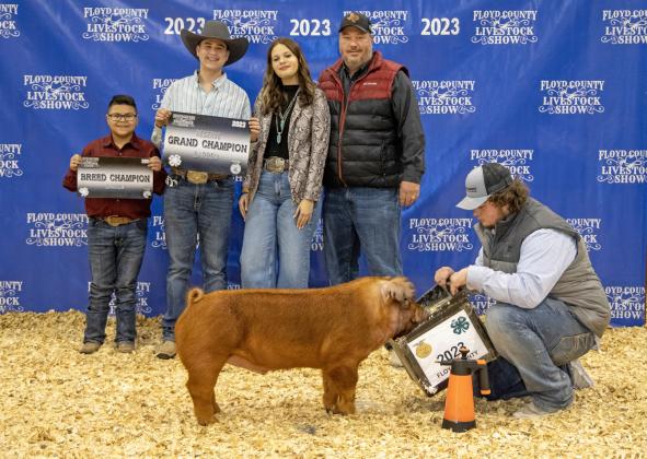 Stock Show 2023