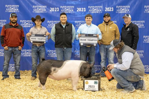 Stock Show 2023
