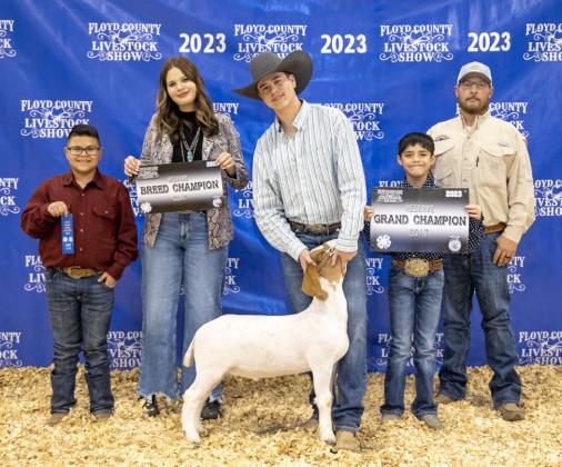 Stock Show 2023