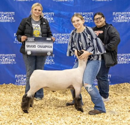Stock Show 2023