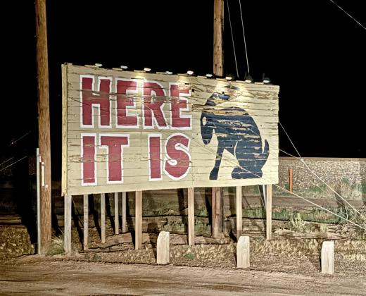 Animals all across Arizona