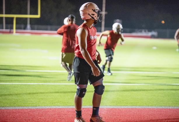 Alt Text for Image