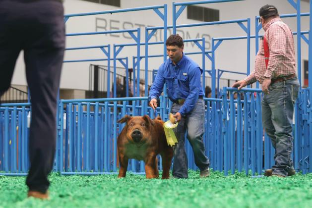 HOUSTON STOCK SHOW Congratulations go to the Holmes family of Floyd County for having a successful week at the Houston Livestock Show with their 5th place Duroc barrow. | COURTESY PHOTO