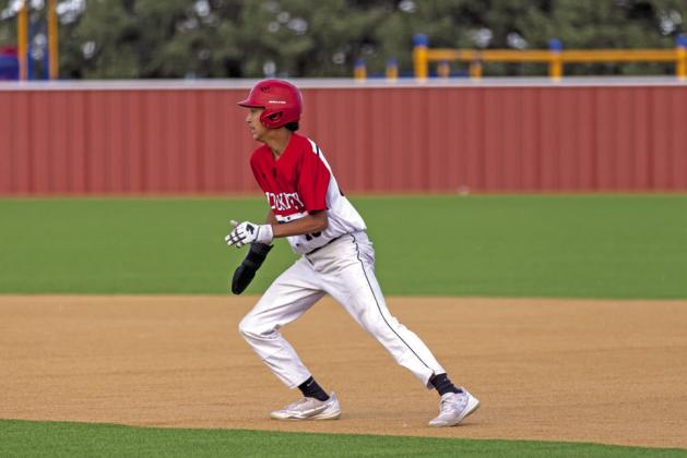 SPOTLIGHT ON LOCKNEY BASEBALL