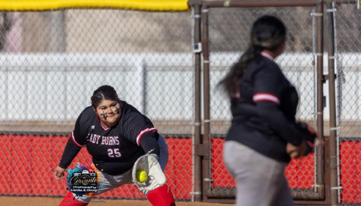 SPOTLIGHT ON LOCKNEY BASEBALL, SOFTBALL UNDERWAY
