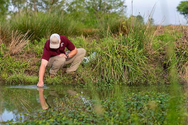 The Texas A&amp;M AgriLife Extension Service will present a webinar,“The Tiniest Pond Managers: Natural Bacteria and Bacterial-Derived Products,” on June 16 from 6 to 7:30 p.m. | HANNAH HARRISON, TEXAS A&amp;amp;M AGRILIFE PHOTO