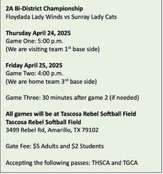 2025 SOFTBALL PLAYOFFS