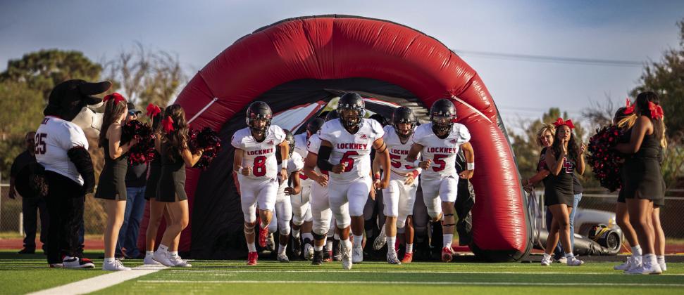 SPOTLIGHT ON LONGHORNS