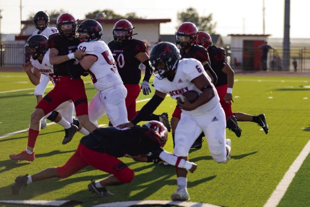 SPOTLIGHT ON LONGHORNS