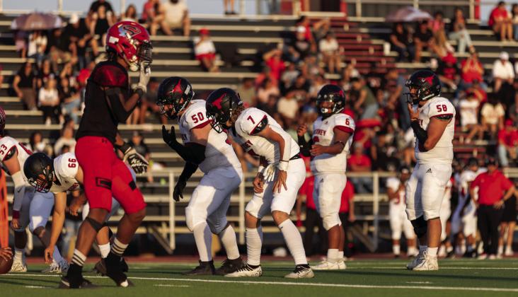 SPOTLIGHT ON LONGHORNS