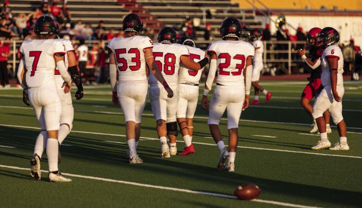 SPOTLIGHT ON LONGHORNS