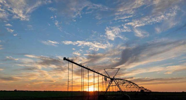 CATCH IT, KEEP IT, REAP IT Many farmers with irrigation have been watering planted crops to help seed germination and prewatering fields to improve soil moisture before planting. Dryland farmers are at the mercy of Mother Nature. | Texas A&amp;amp;M AgriLife photo by Laura McKenzie